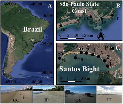 Rainfall and Tidal Cycle Regulate Seasonal Inputs of Microplastic Pellets to Sandy Beaches